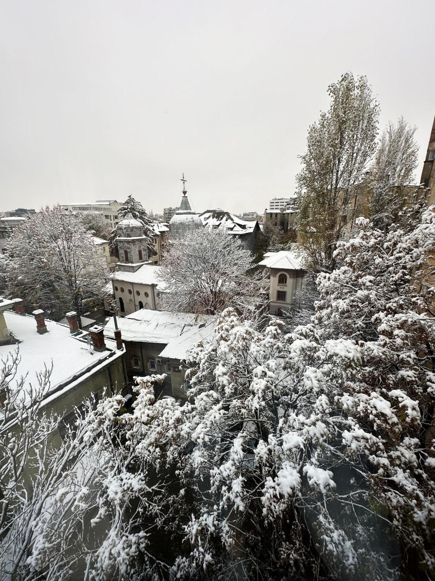 Central Haven Studio Bukarest Kültér fotó